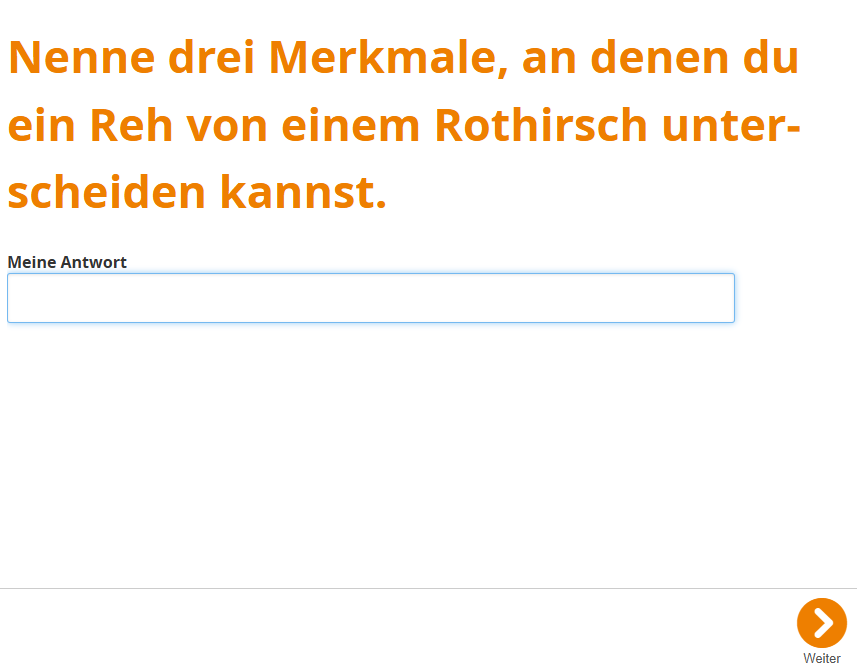 Freitextfrage